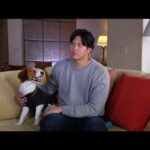 shohei ohtani discusses winning