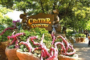 Tokyo Disneyland Critter Country