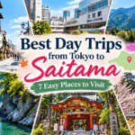 Best Day Trips from Saitama to Tokyo