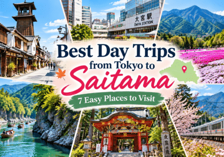 Best Day Trips from Saitama to Tokyo