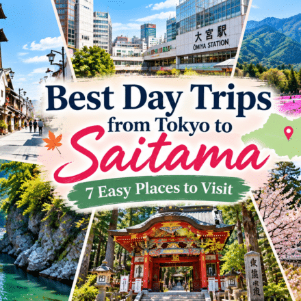 Best Day Trips from Saitama to Tokyo