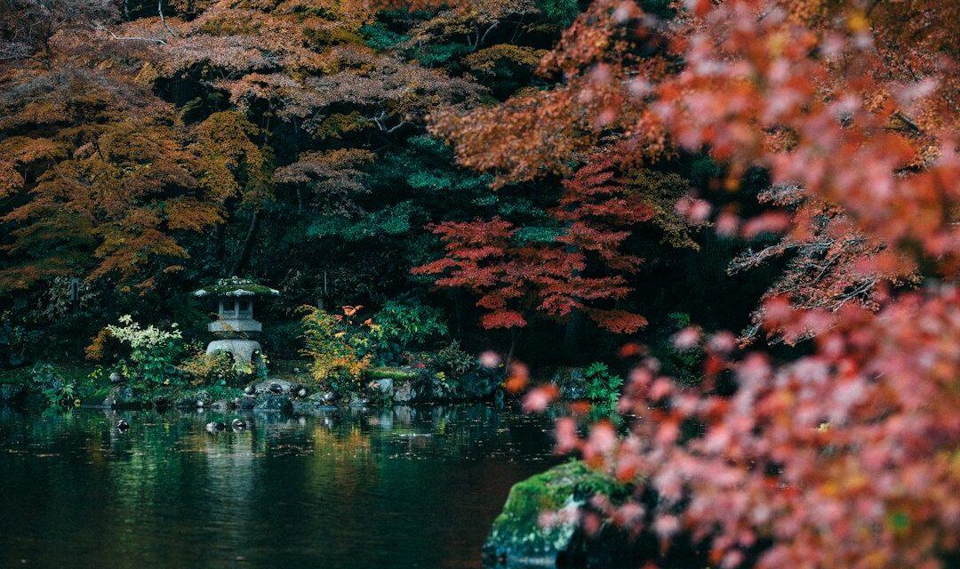 Best time to visit Saitama