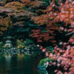 Best time to visit Saitama