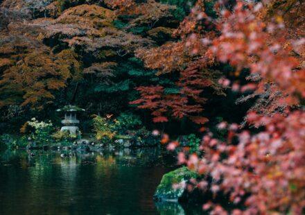 Best time to visit Saitama