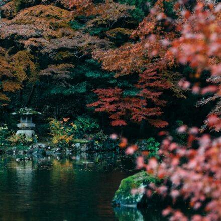 Best time to visit Saitama