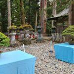 Bonsai garden in Japan with carefully shaped miniature trees