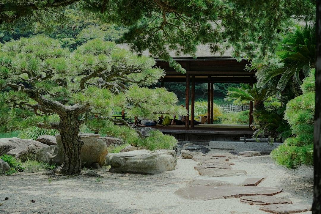 Stone path through a tranquil Japanese garden
