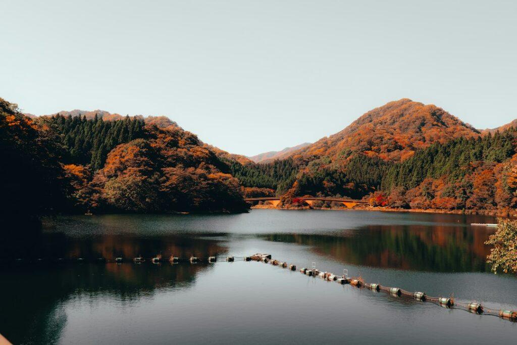 Autumn scenery for a Nagatoro river trip