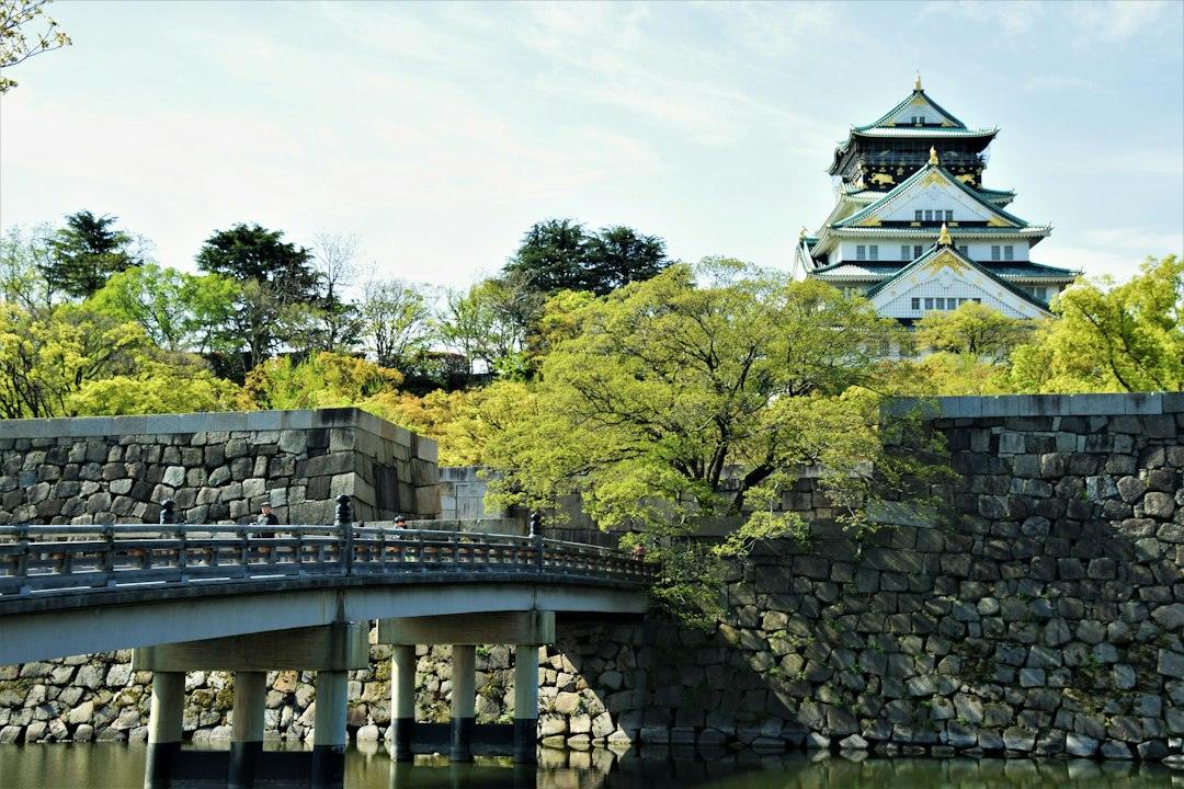 Osaka Castle tower surrounded by green park trees